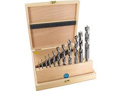 Set di punte per legno HSS