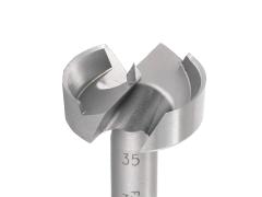 Punta Forstner Classic