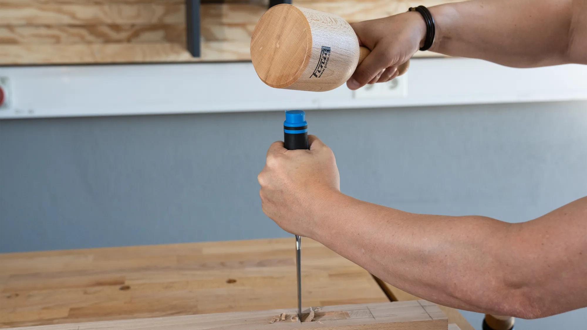 bildhauerkluepfel-100mm-pinie-pi-56-2p-07