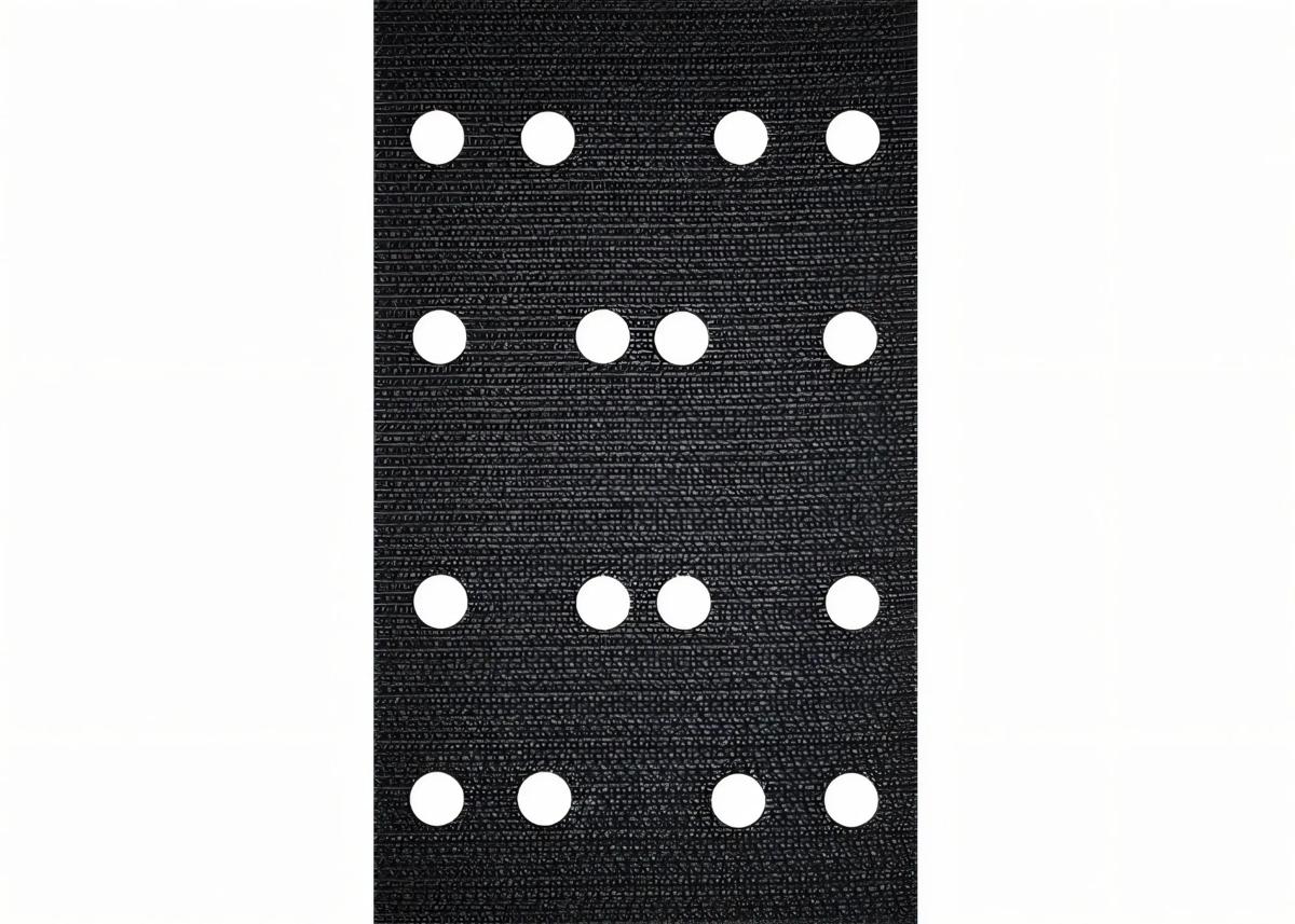 netzschleifmittel-schleifschuh-schutz-festool-f-203346-01