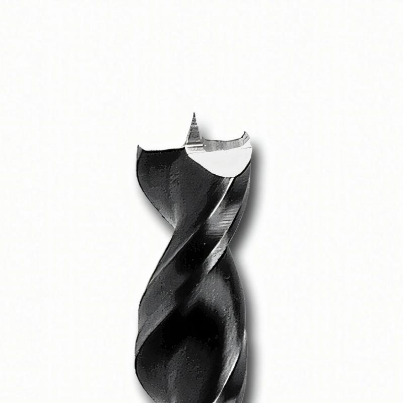 holzspiralbohrer-famag-fa-159405000-01