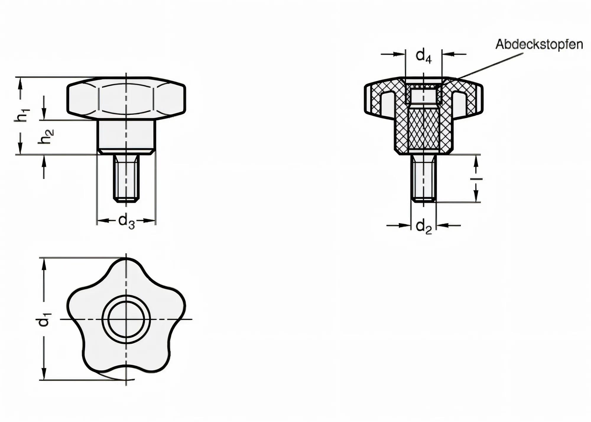 sterngriffschraube-ganter-gn-e50m1040-02