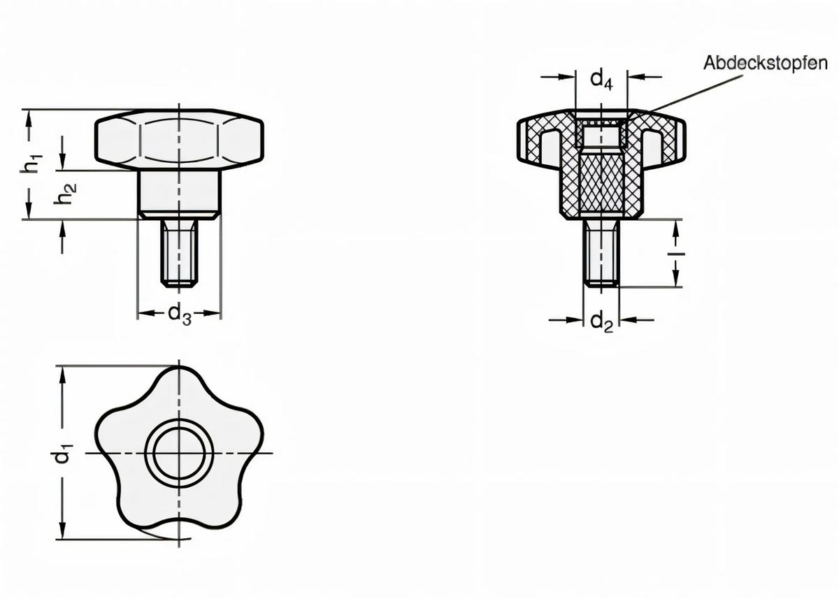 sterngriffschraube-ganter-gn-e50m1040-02