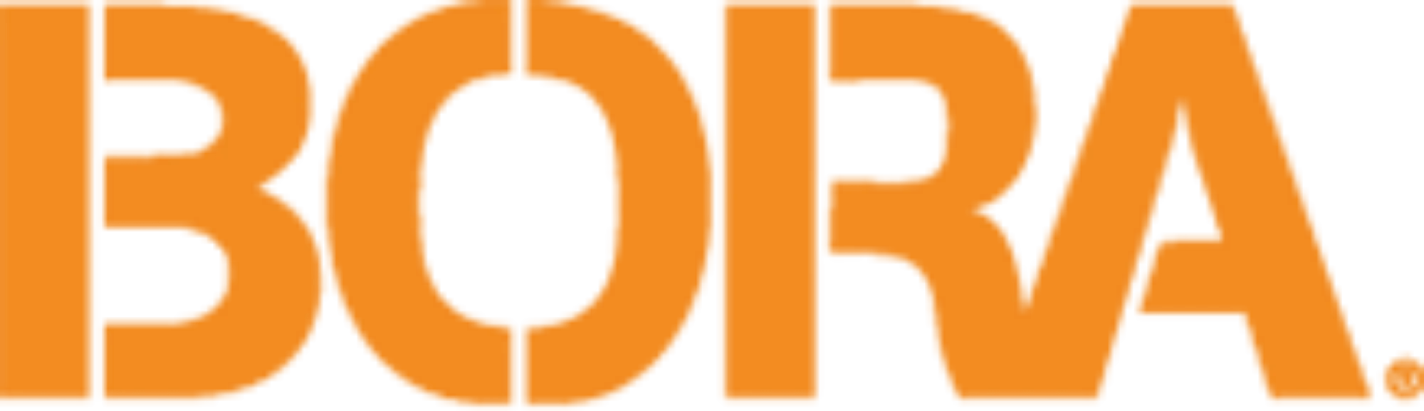 bora-logo