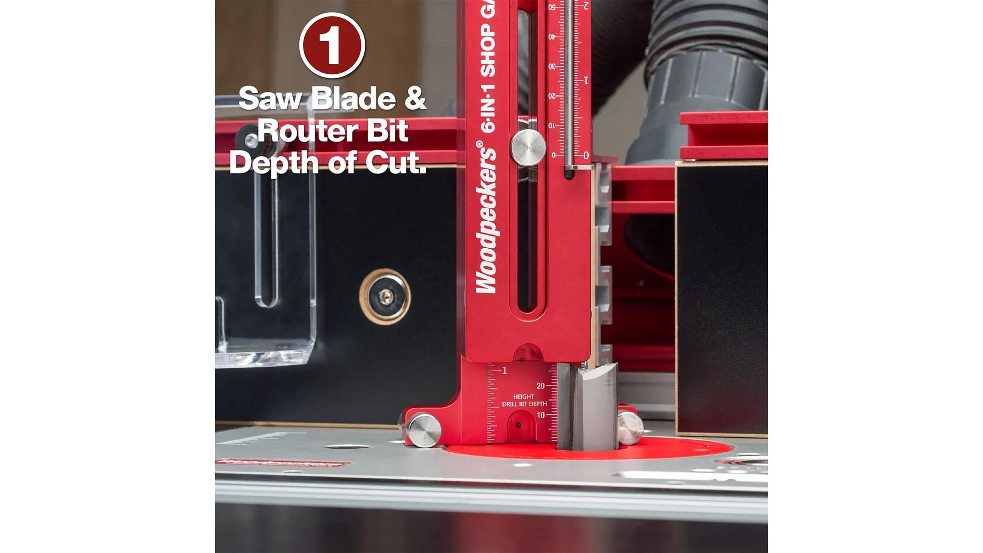 gauge-woodpeckers-w-6n1pock-24-08