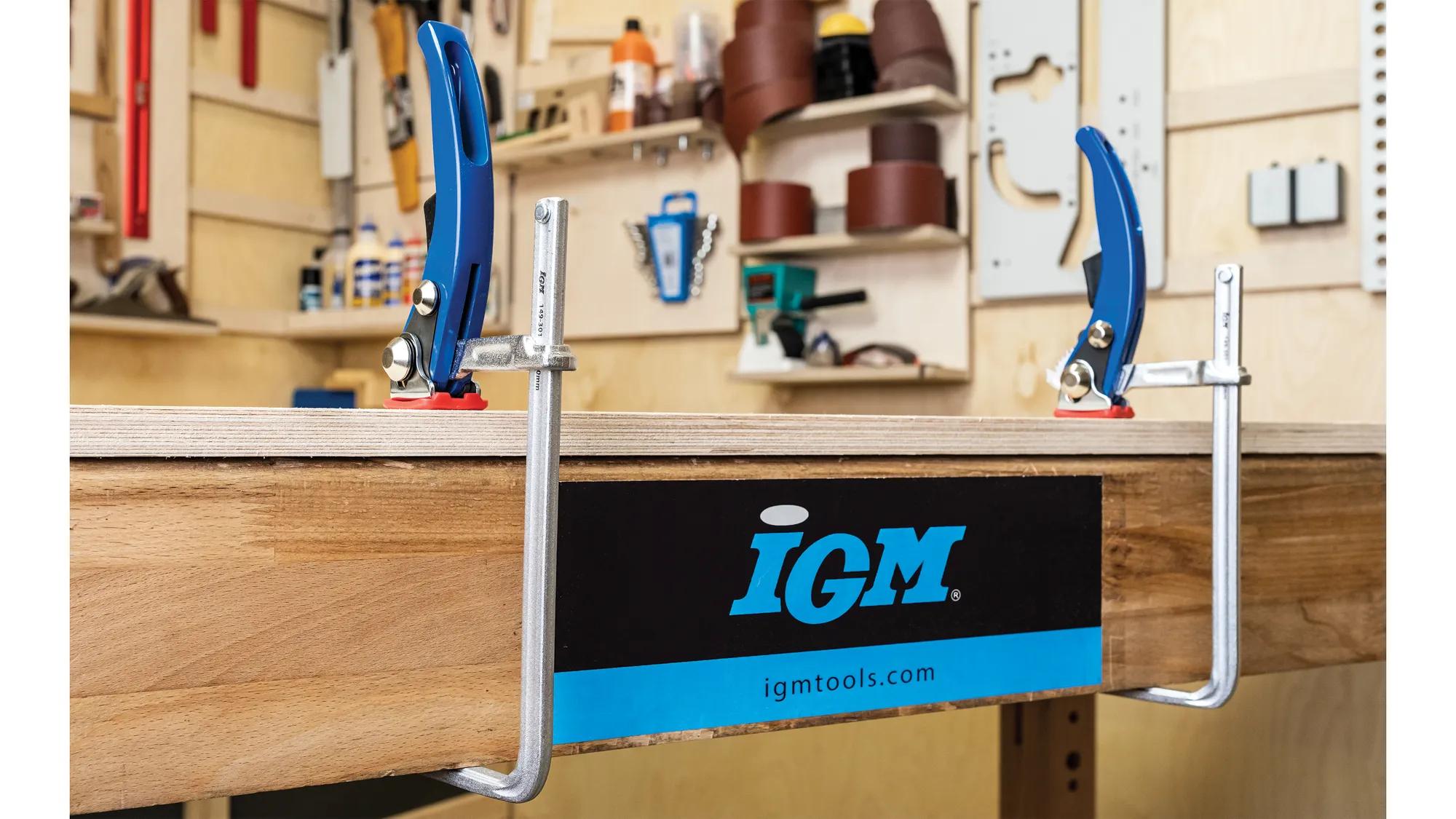 fuehrungsschienenzwinge-igm-i-149-301-03