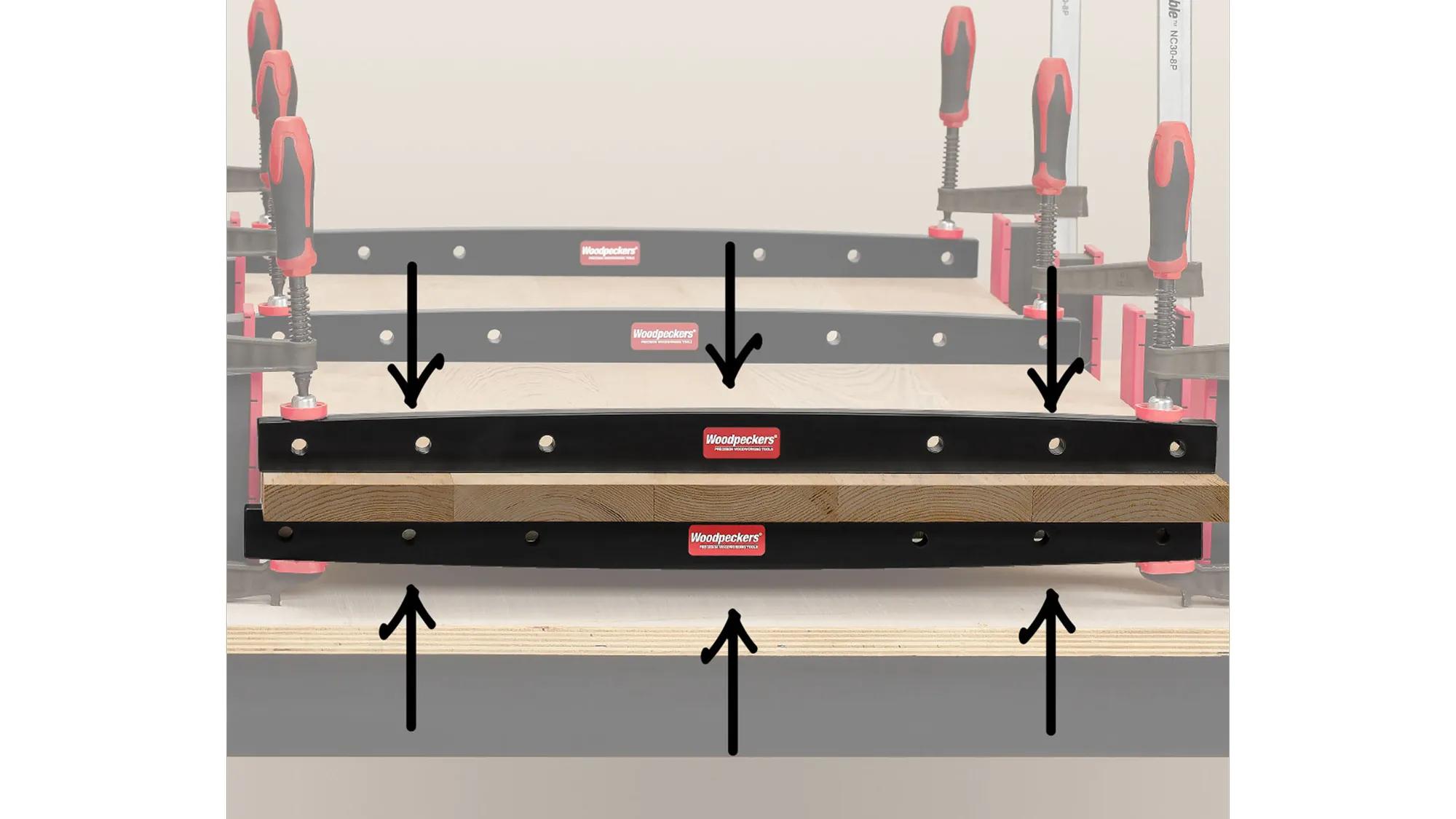 zulagen-woodpeckers-w-caul24x2-23-ott-02