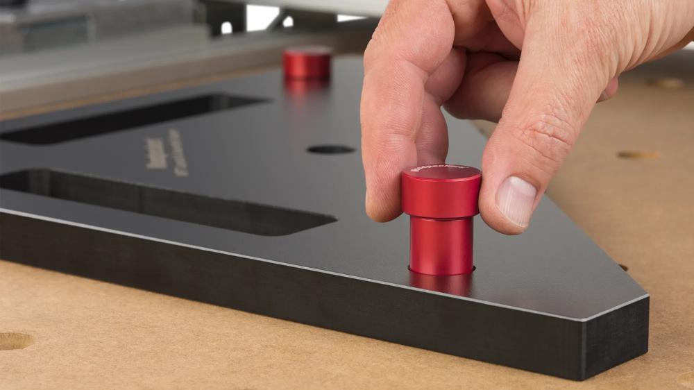 bankhaken-woodpeckers-w-mftposdog2-19-04