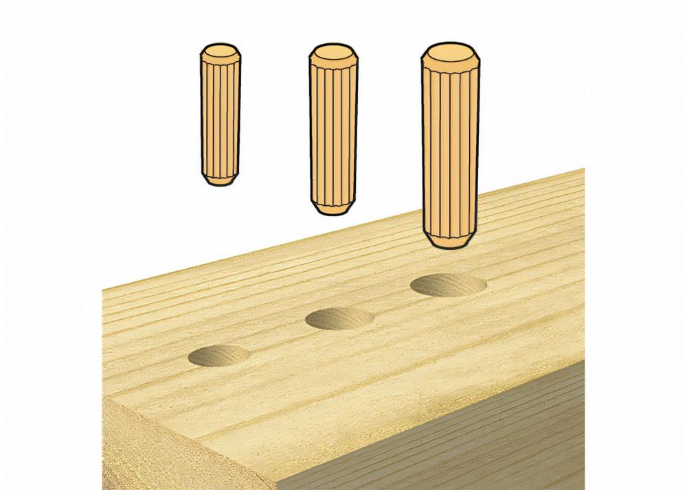 rundduebel-trend-t-dwl-2-50-04