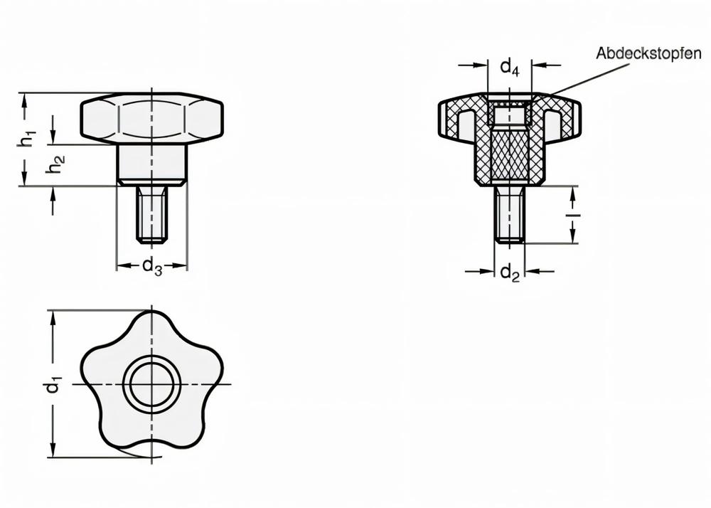 sterngriffschraube-ganter-set-e32m620-4-03