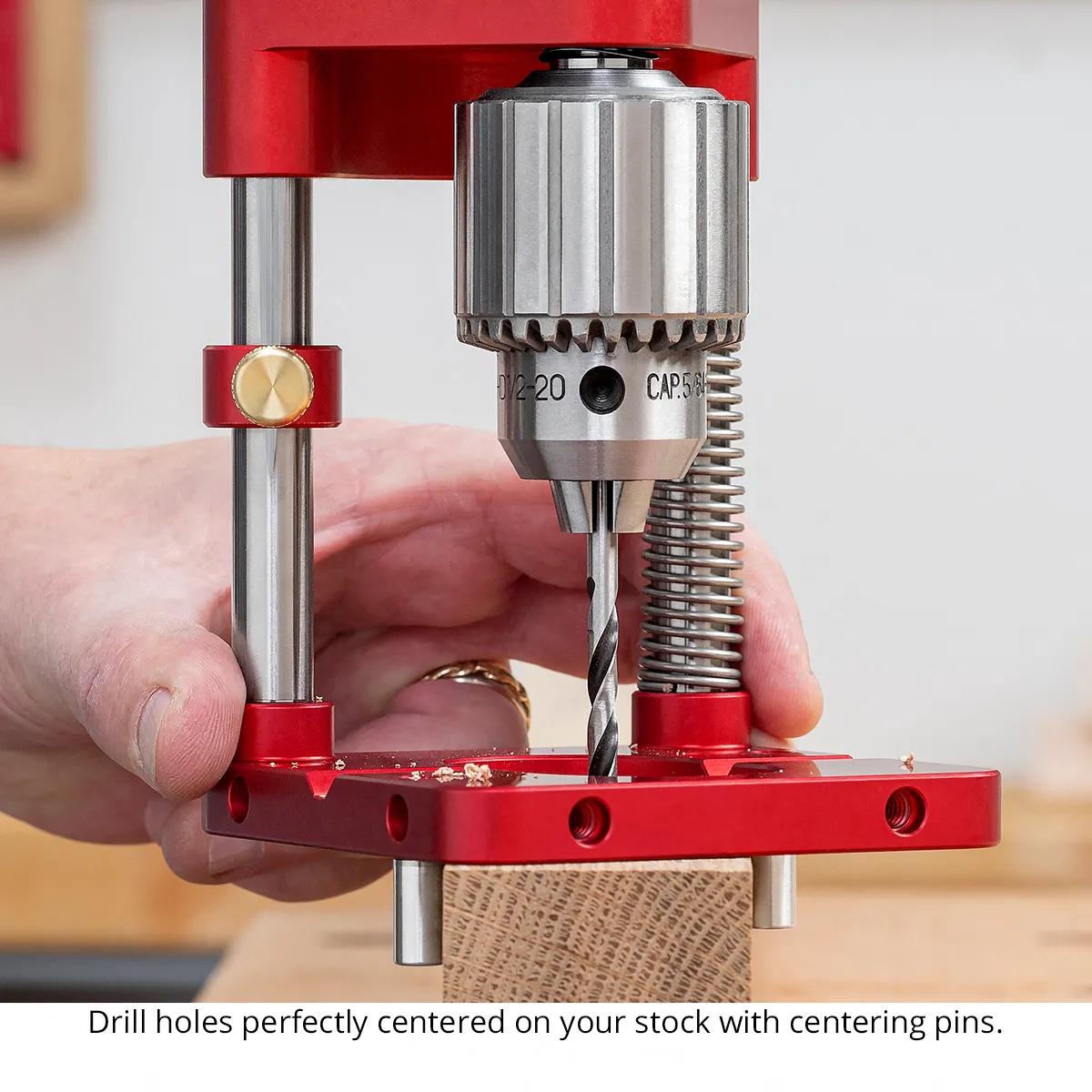 bohrstaender-woodpeckers-w-aldg-21-del-07