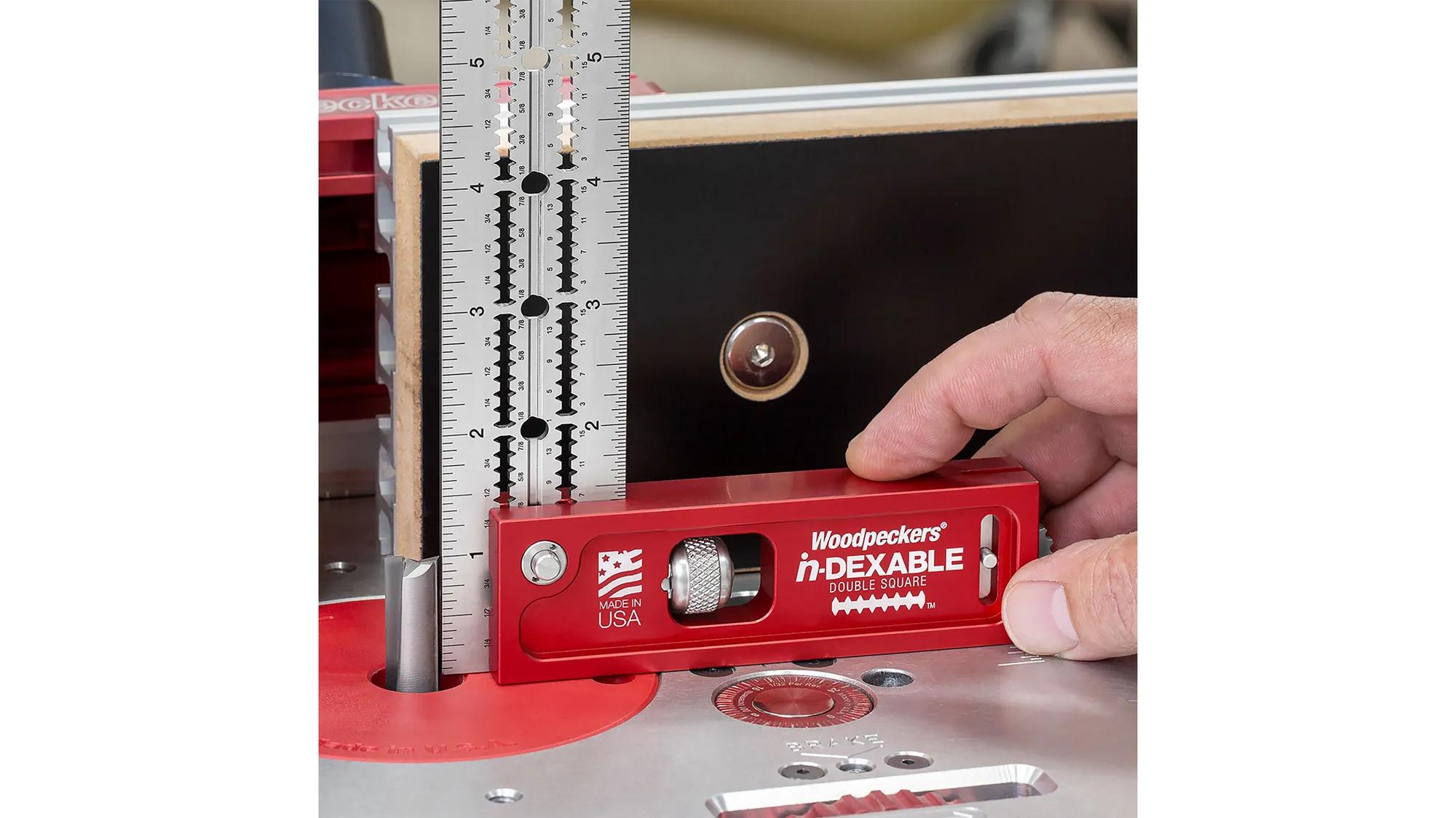 double-square-woodpeckers-w-dsq-stm-20-03