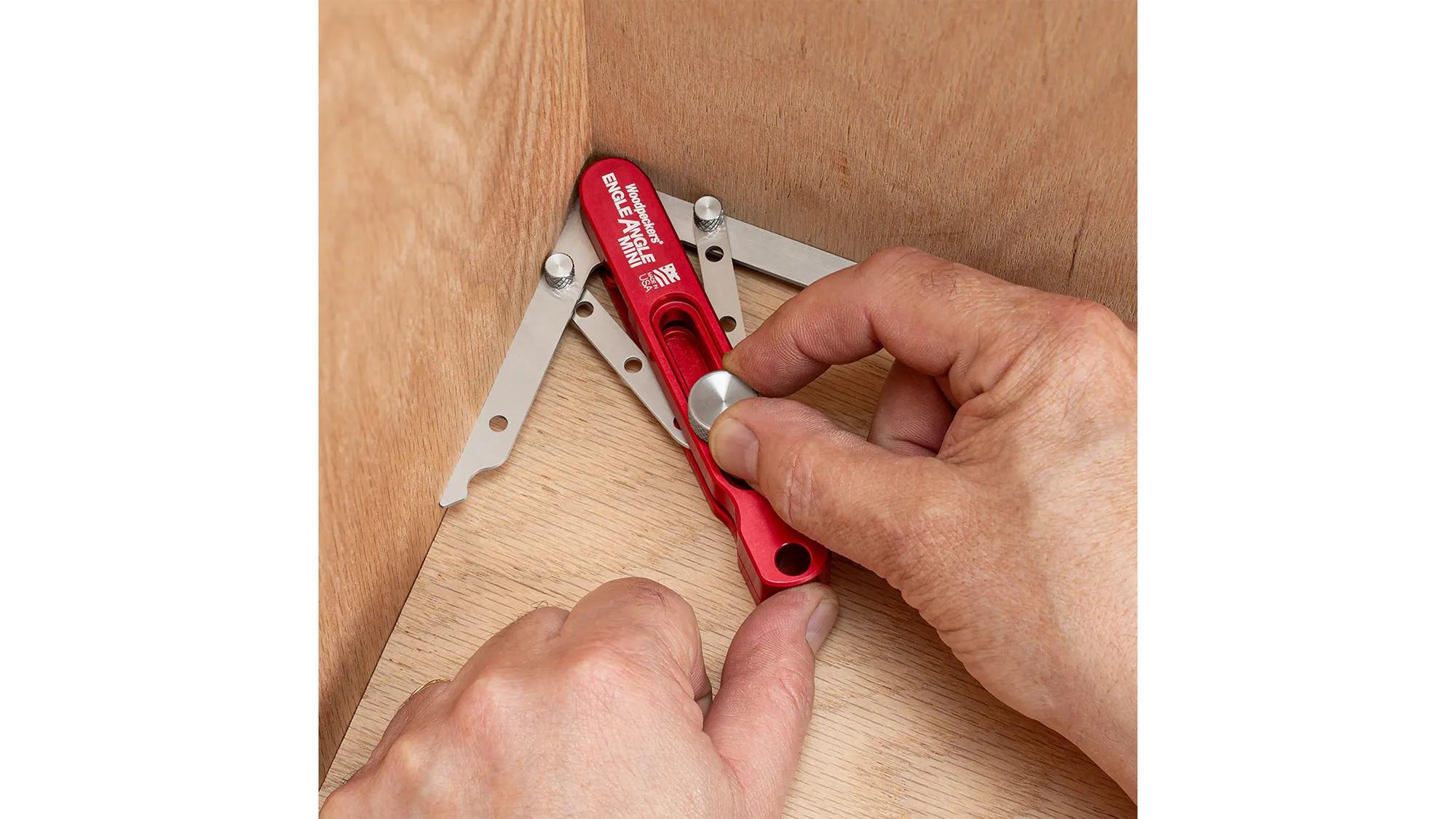 winkelschmiege-woodpeckers-w-ea3-23-06