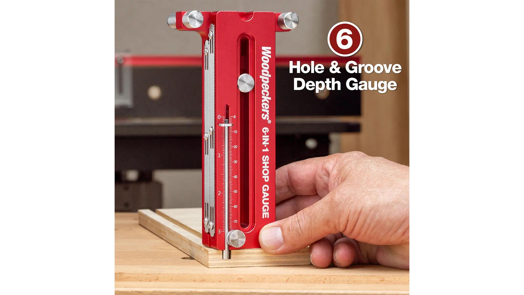 gauge-woodpeckers-w-6n1pock-24-07