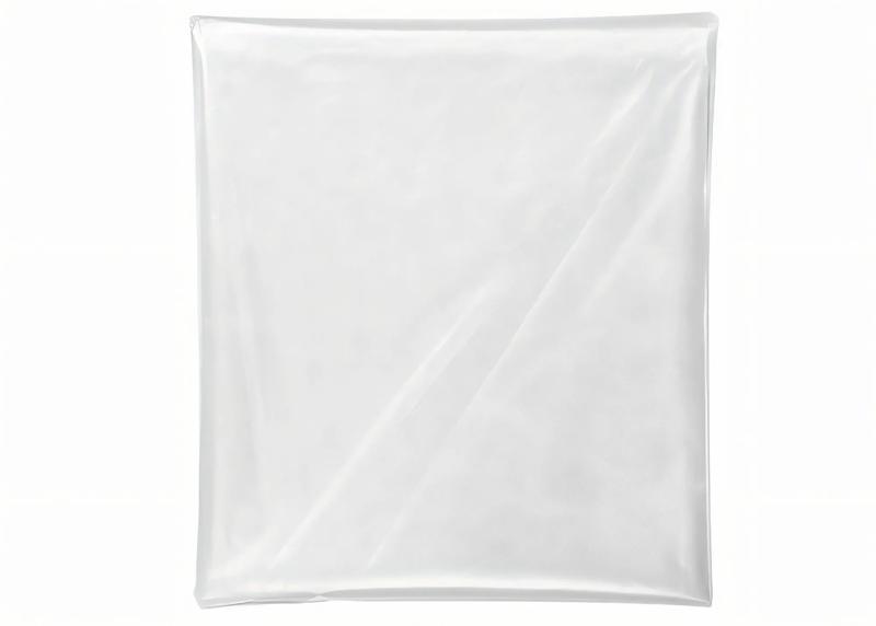 Product image for Festool Disposable bag ENS-VA-20/10