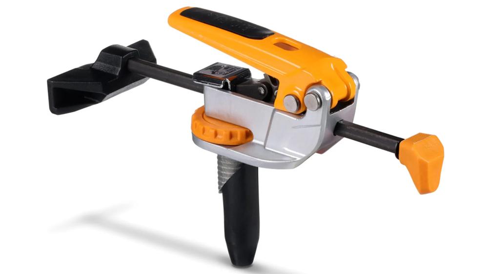 waagrechtspanner-bora-bor-br-g090102-01