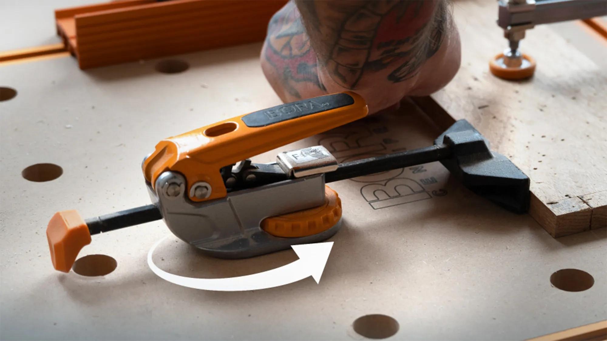 waagrechtspanner-bora-bor-br-g090102-04