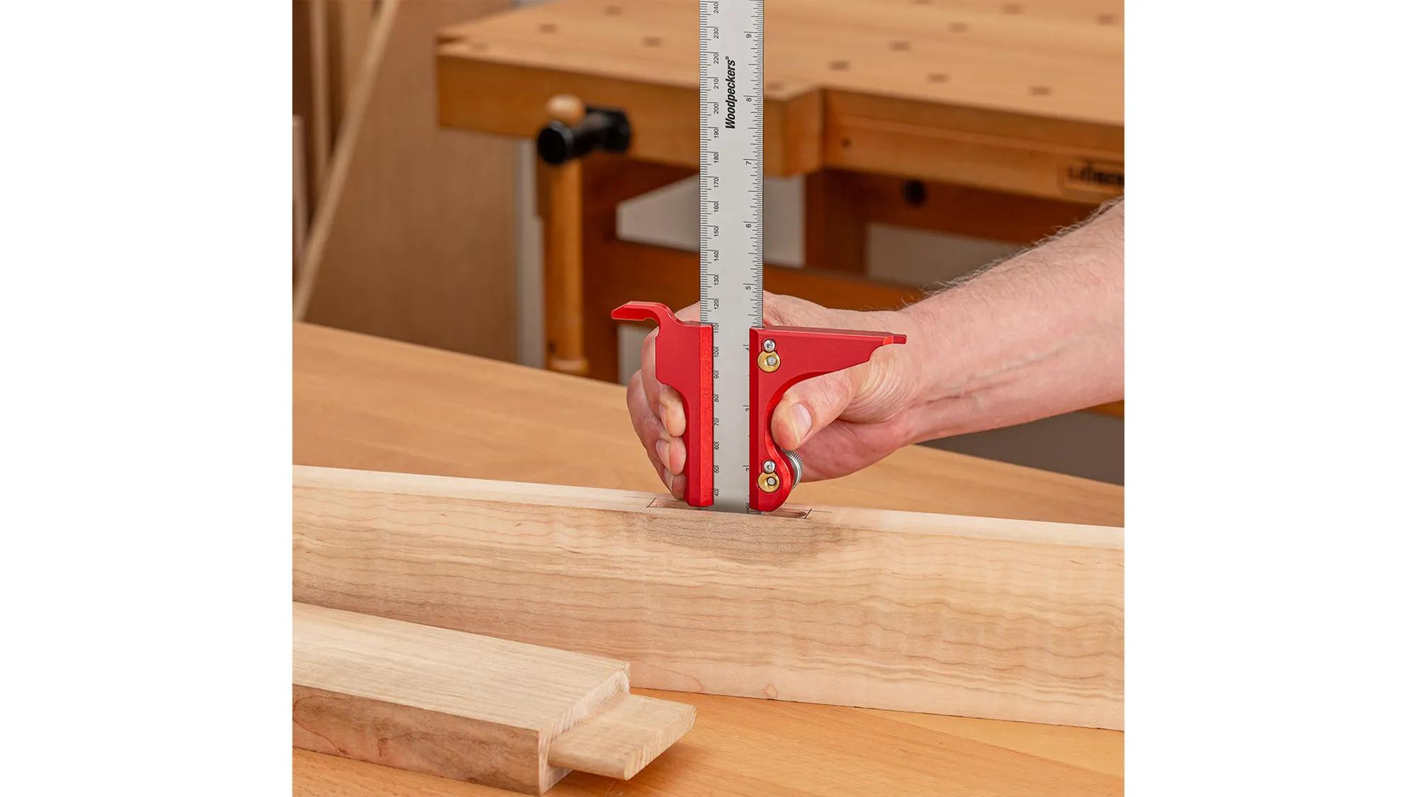 messlineal-300-woodpeckers-w-bc-12300-07