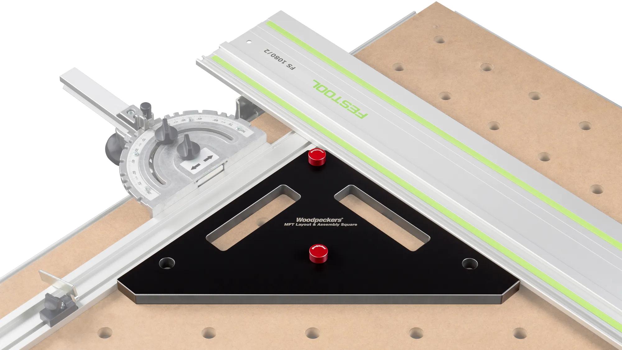 bankhaken-woodpeckers-w-mftposdog2-19-02