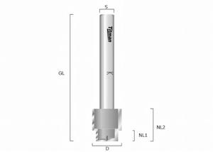 Edge gear milling cutter with drill-in cutting edge HW Z2