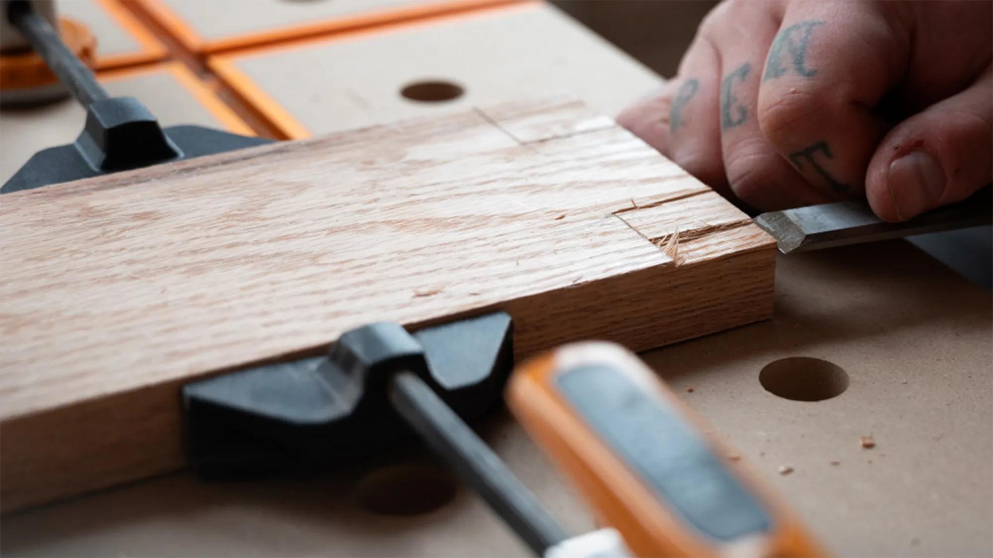 waagrechtspanner-bora-bor-br-g090102-06