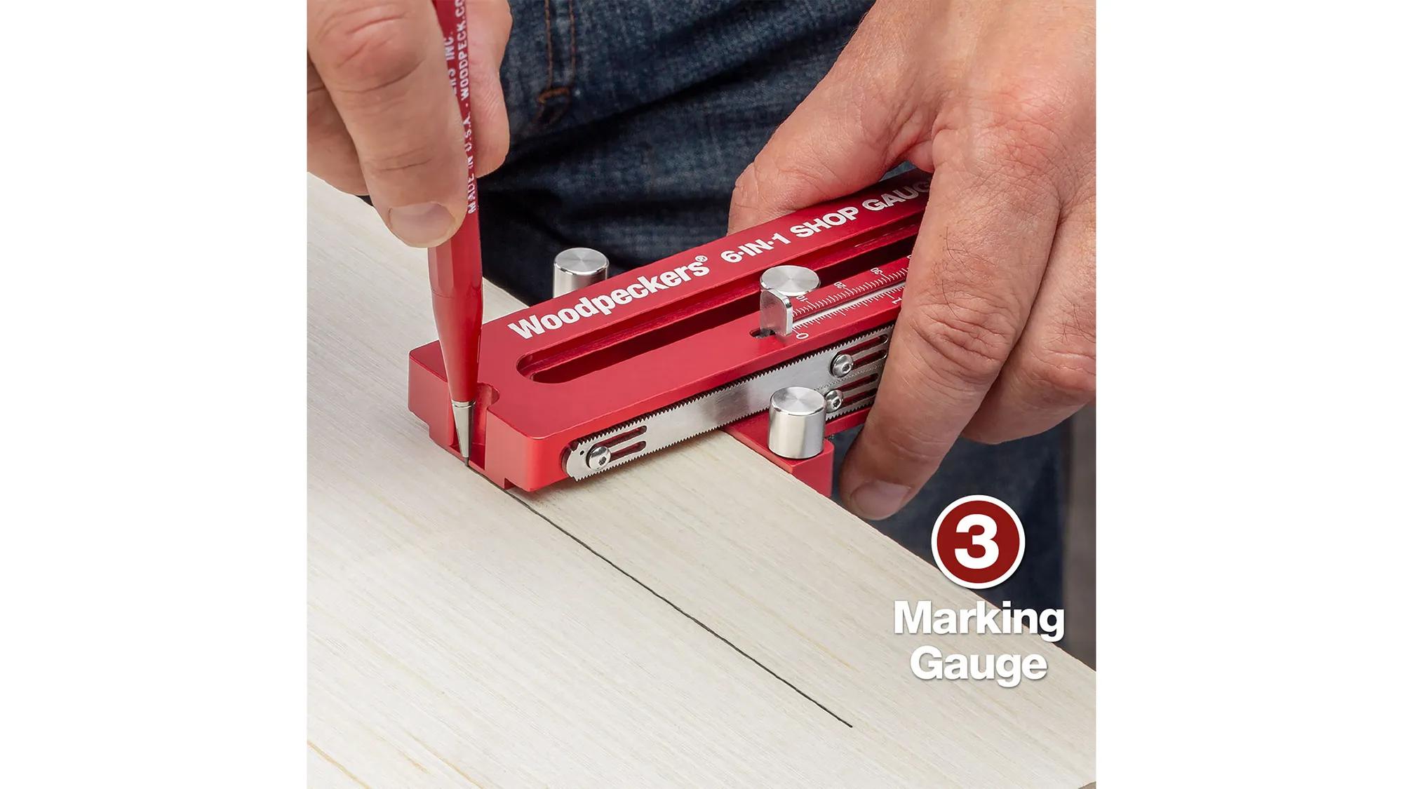 gauge-woodpeckers-w-6n1pock-24-04