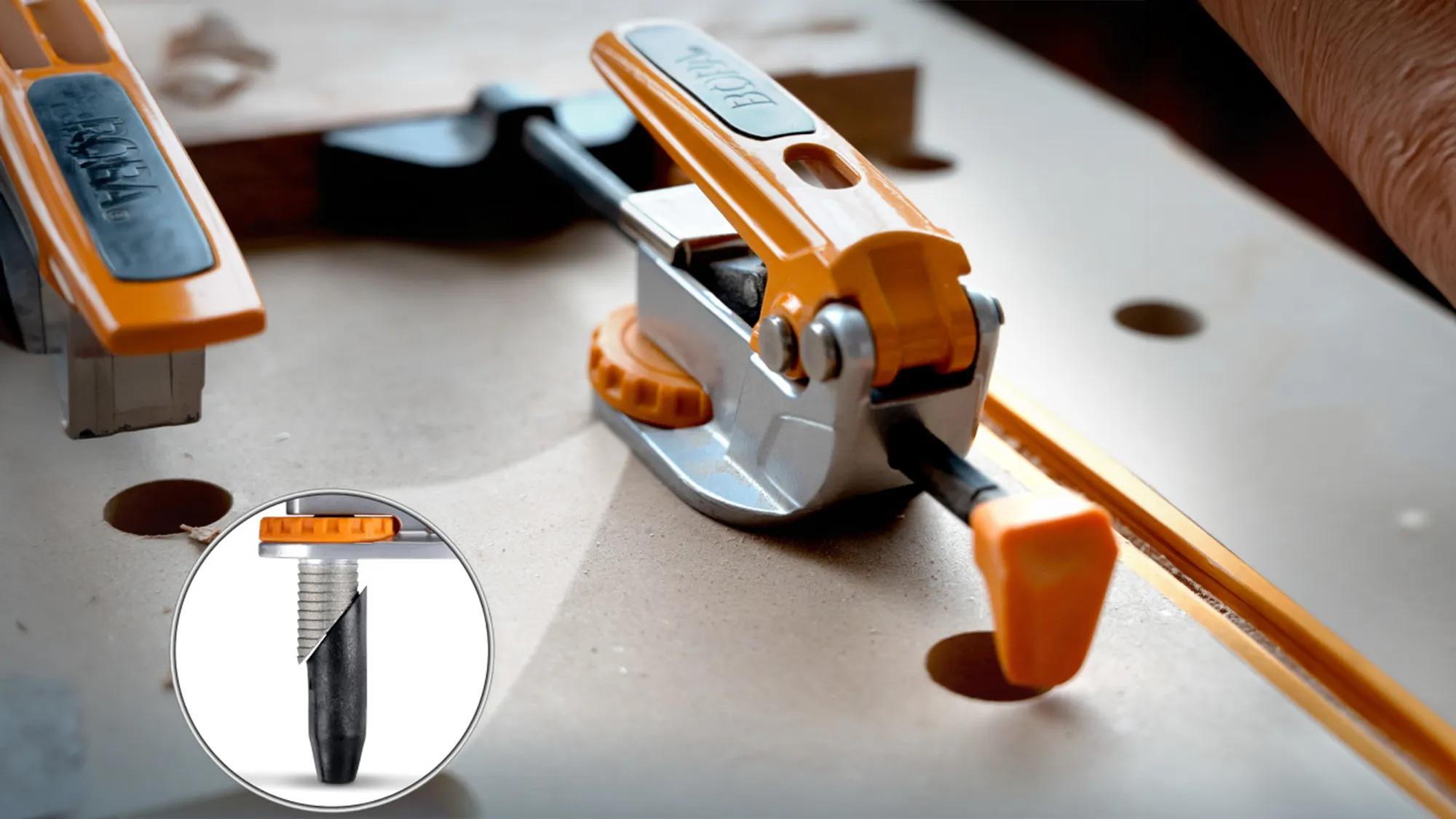 waagrechtspanner-bora-bor-br-g090102-03