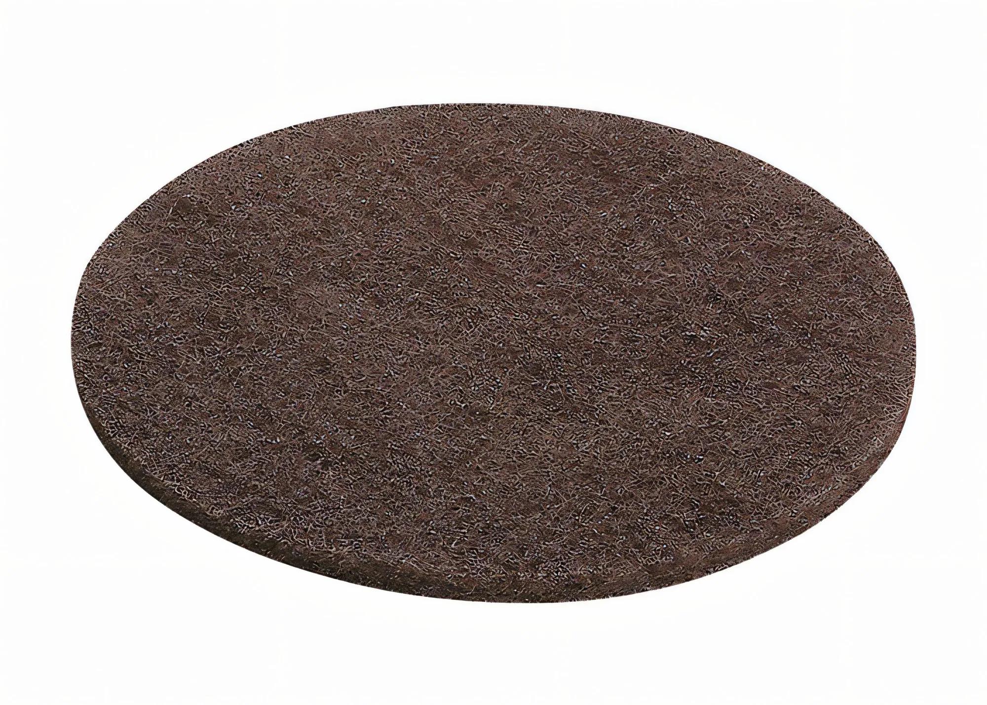 schleifvlies-p100-10stueck-festool-f-201126-01