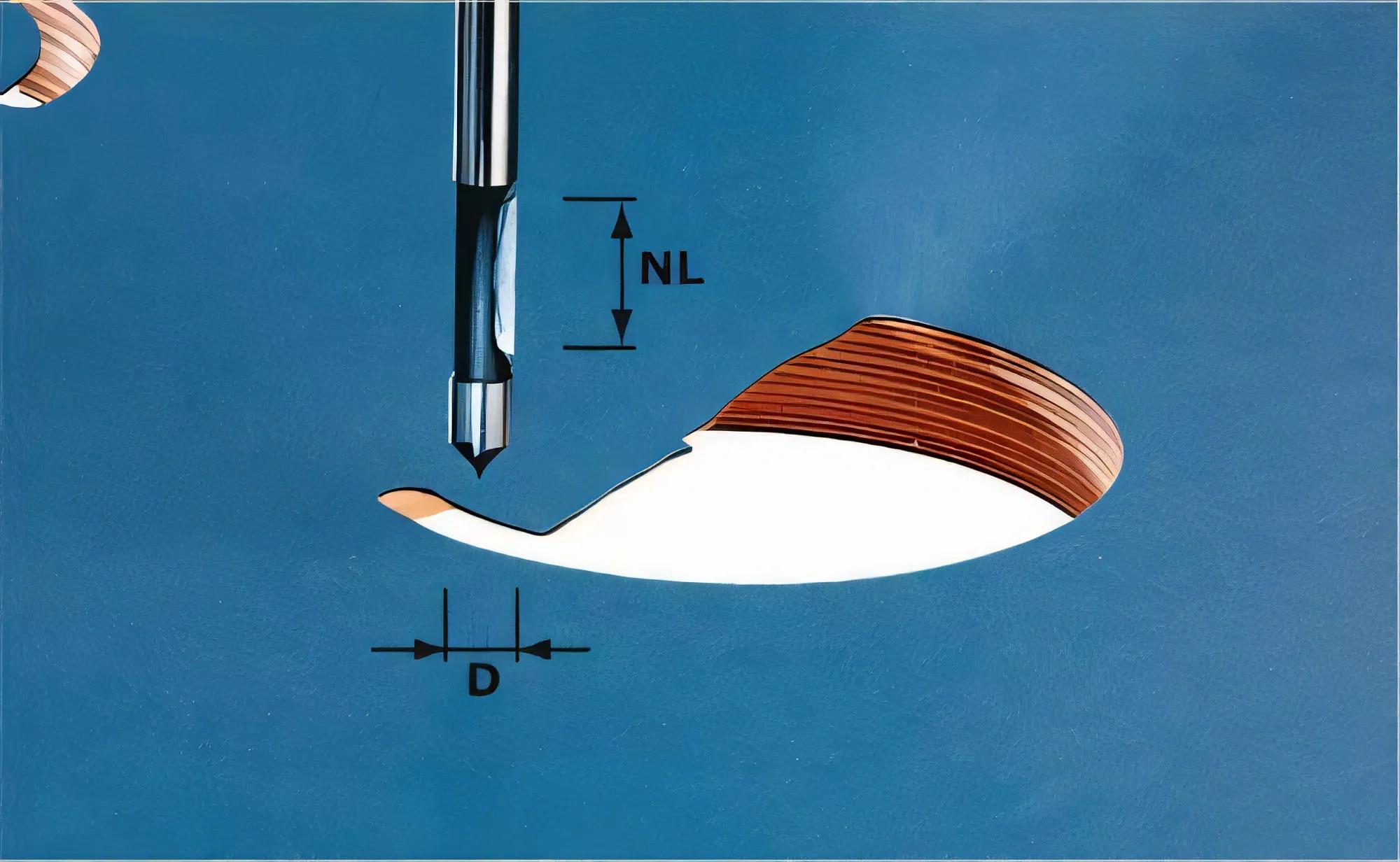 bohrfraeser-hw-schaft-8-hw-s8-d8-19-festool-f-491037-01