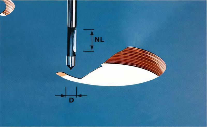 Product image for Festool Drilling cutter HW S8 D8/19
