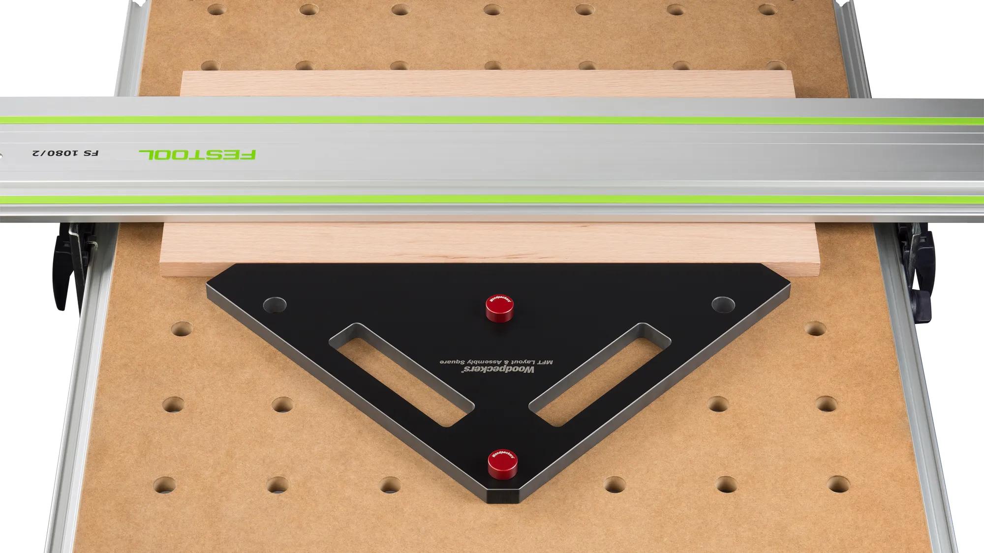 bankhaken-woodpeckers-w-mftposdog2-19-03