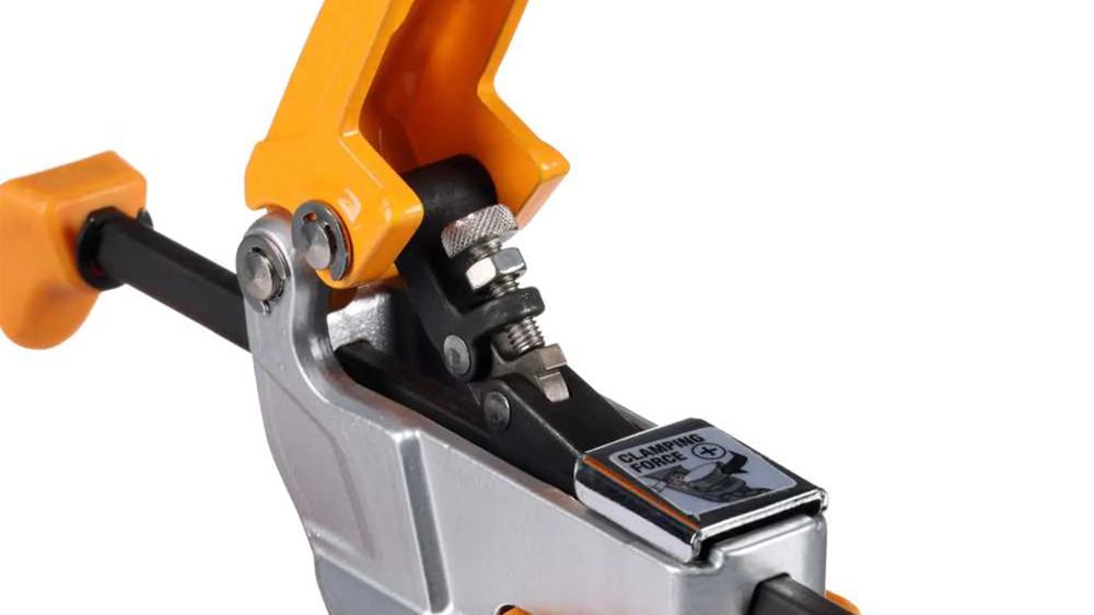 waagrechtspanner-bora-bor-br-g090102-02